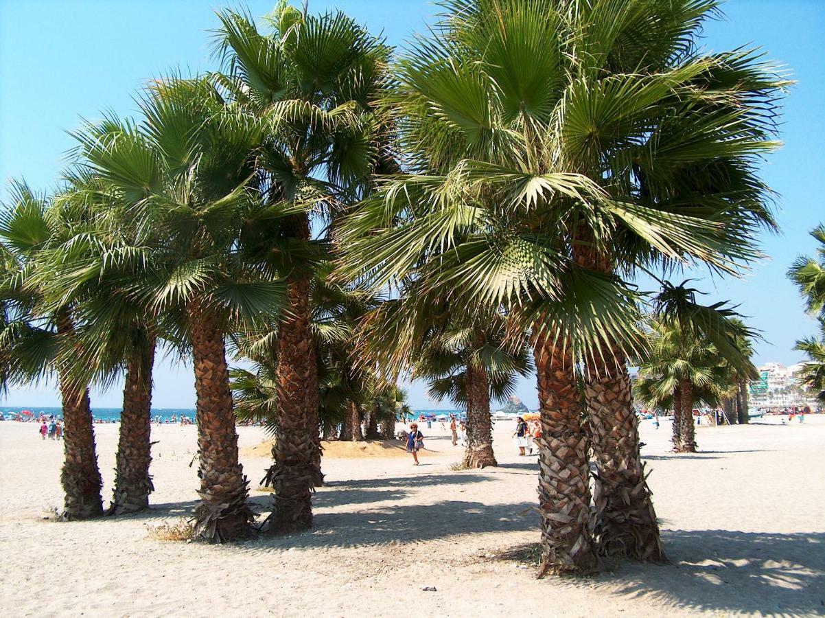 Central Almunecar, Beach Playa 125 Metres, By Old Town Экстерьер фото